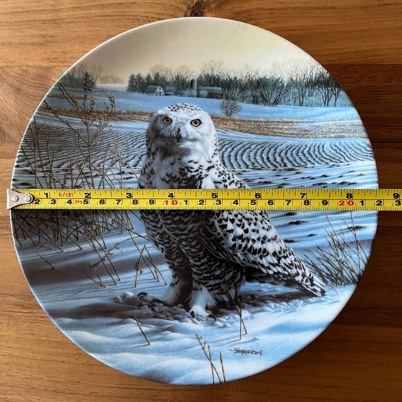 VINTAGE 1989 Knowles Limited Edition Collector Plate Snowy Owl by Jim Beaudoin - Picture 6 of 6